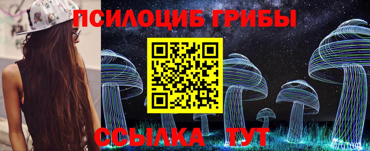 купить  сайты  Вход с VPN  Галлюциногенные грибы Cubensis  Южно-Сахалинск  Псилоцибиновые грибы Cubensis 